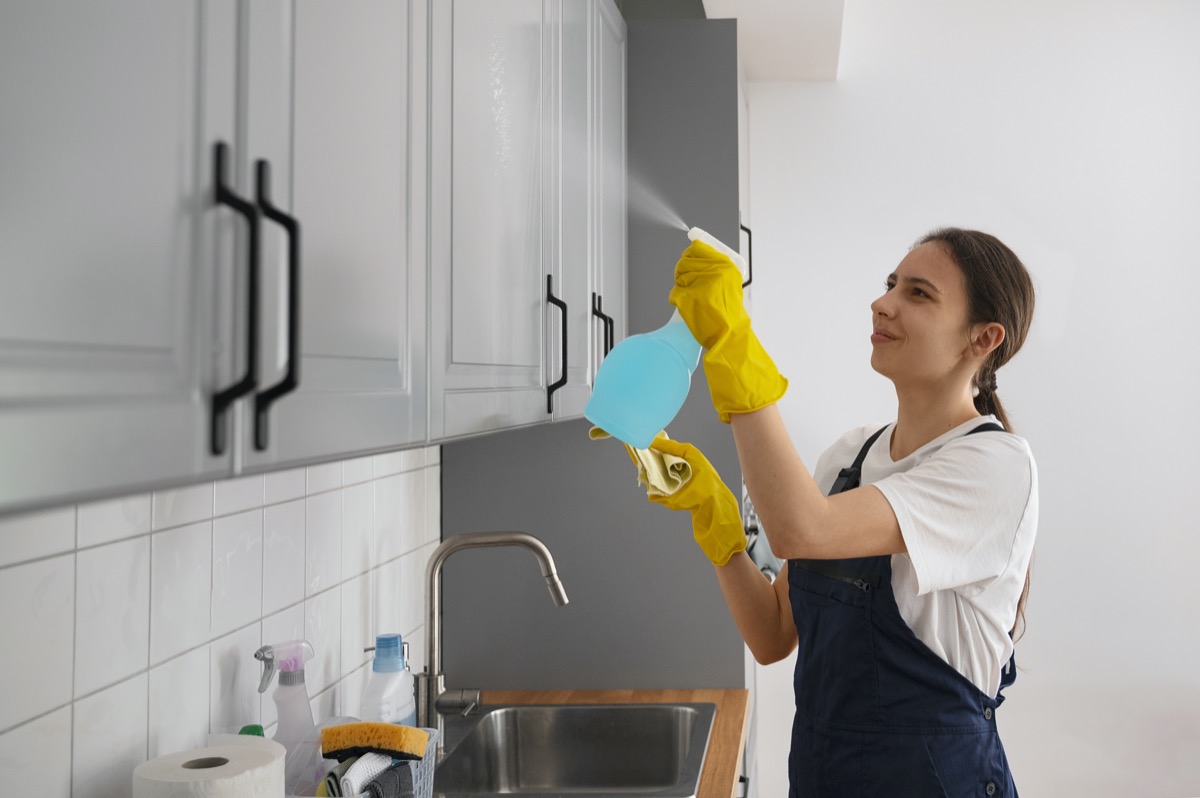 NetLet housekeeping professional cleaning service